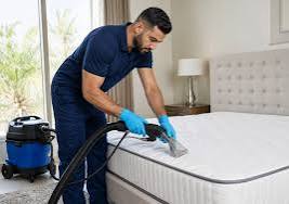 Mattress Deep Steam Cleaning Stain and Allergen image 2